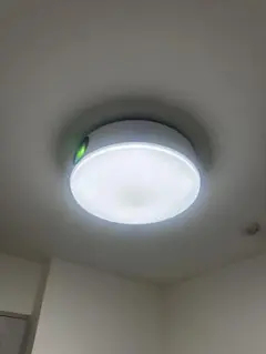 2026年最新】nebula novaの人気アイテム - メルカリ