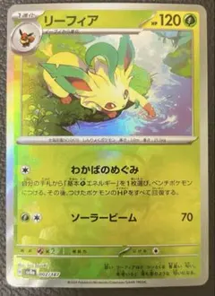 2026年最新】リーフィアマスターボールミラーの人気アイテム - メルカリ