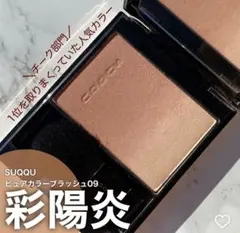 2026年最新】SUQQUピュアカラーブラッシュ09彩陽炎の人気アイテム