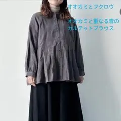 2026年最新】tandey オオカミとフクロウの人気アイテム - メルカリ