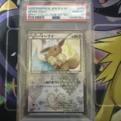 2026年最新】シャイニーコレクション イーブイ psa10の人気アイテム