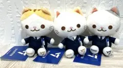 2026年最新】セブチ猫ぬいぐるみの人気アイテム - メルカリ