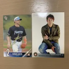 2026年最新】ニッポンハムホームランソーセージカードの人気アイテム