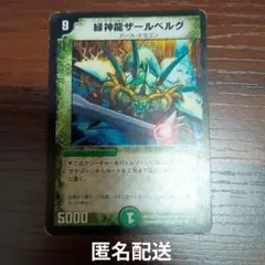 2026年最新】緑神龍ザールベルグの人気アイテム - メルカリ