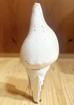 2026年最新】法螺貝の人気アイテム - メルカリ