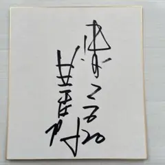 2026年最新】星野仙一 色紙の人気アイテム - メルカリ