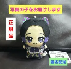 2026年最新】鬼滅 ちびぐるみ しのぶの人気アイテム - メルカリ