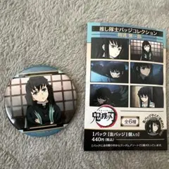 2026年最新】鬼滅の刃 推し隊士バッジコレクション/時透 無一郎の人気