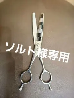 2026年最新】天洋 シザーの人気アイテム - メルカリ