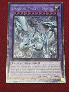 2026年最新】究極竜魔導師の人気アイテム - メルカリ