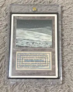 2026年最新】デュアルランドの人気アイテム - メルカリ