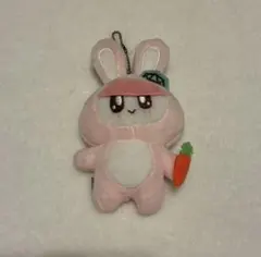 2026年最新】ボンボンイ ぬいぐるみ seventeenの人気アイテム - メルカリ