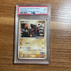 2026年最新】ポケモンカード グラードン 042/PCG-P ポケパークの人気