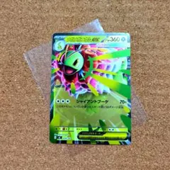 2026年最新】メガメガニウムex(ミラー)の人気アイテム - メルカリ