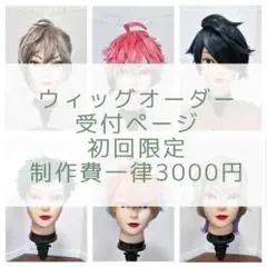 2026年最新】ウィッグオーダーの人気アイテム - メルカリ