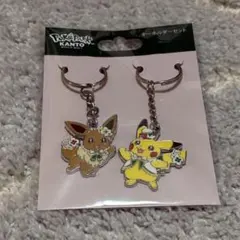 ポケパークカントー イーブイ カチューシャKeychain - Mercari Japan