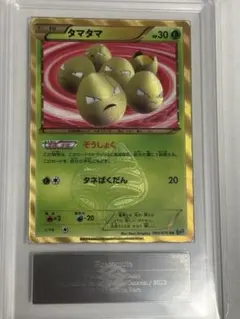 2026年最新】タマタマ UR psa10の人気アイテム - メルカリ