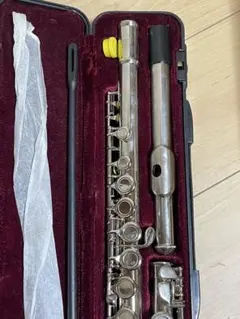 2026年最新】Maxtone フルートの人気アイテム - メルカリ