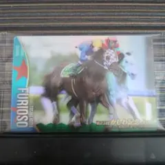 2026年最新】サラブレッドカード メモリアルの人気アイテム - メルカリ