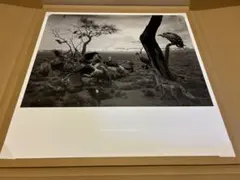 2026年最新】杉本博司 ポスターの人気アイテム - メルカリ