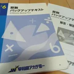 2026年最新】早稲田アカデミー 小6 バックアップテキストの人気