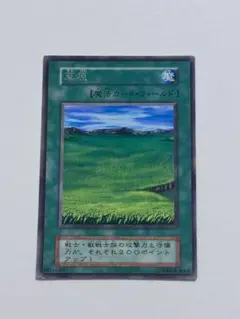 2026年最新】草原 Rの人気アイテム - メルカリ