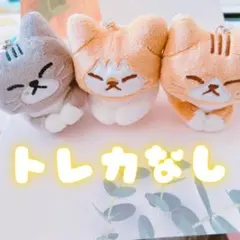 2026年最新】スンドゥンドリの人気アイテム - メルカリ