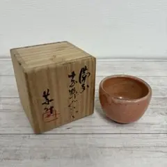 2026年最新】志野ぐい呑の人気アイテム - メルカリ