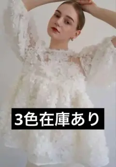 2026年最新】acka ブラウスの人気アイテム - メルカリ