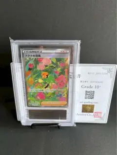 2026年最新】ナタネ sr psa10の人気アイテム - メルカリ