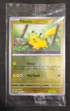 2026年最新】ピカチュウ psa10 マスターボールの人気アイテム - メルカリ