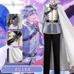 2026年最新】ツイステ コスプレ シルバーの人気アイテム - メルカリ