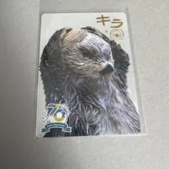 2026年最新】鳥羽水族館コレクションカードの人気アイテム - メルカリ