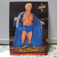 2026年最新】リック・フレアーの人気アイテム - メルカリ