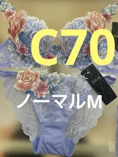 2026年最新】ワコールサルート09グループの人気アイテム - メルカリ