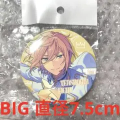 2026年最新】天祥院英智 缶バッジ シャッフルの人気アイテム - メルカリ