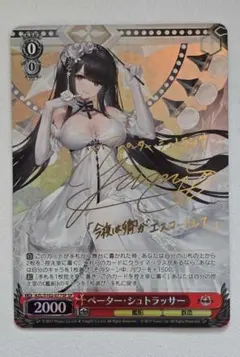 2026年最新】ペーター・シュトラッサー spの人気アイテム - メルカリ