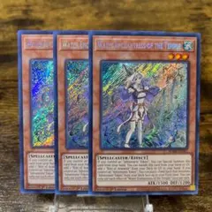 2026年最新】聖殿の水遣い 英語の人気アイテム - メルカリ