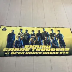 2026年最新】クレインサンダーズ タオルの人気アイテム - メルカリ