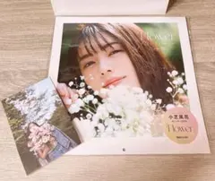 2026年最新】小芝風花 カードの人気アイテム - メルカリ