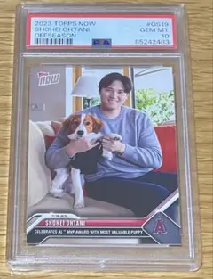 2026年最新】大谷翔平 デコピン psa10の人気アイテム - メルカリ