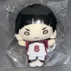 2026年最新】にとたん 五色の人気アイテム - メルカリ