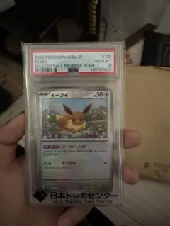 2026年最新】イーブイ テラスタル psa10の人気アイテム - メルカリ