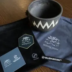 2026年最新】バリエム 鉢の人気アイテム - メルカリ