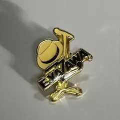 2026年最新】矢沢永吉ピンバッチの人気アイテム - メルカリ