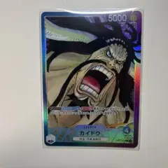 2026年最新】カイドウ パラレル リーダーの人気アイテム - メルカリ