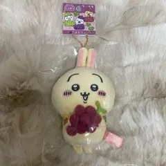 2026年最新】ご当地 ちいかわ ぶどうの人気アイテム - メルカリ