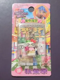 2026年最新】アキバプロレス菊タローの人気アイテム - メルカリ