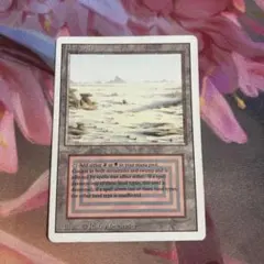 2026年最新】デュアルランドの人気アイテム - メルカリ