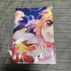 2026年最新】フランドール プレイマットの人気アイテム - メルカリ